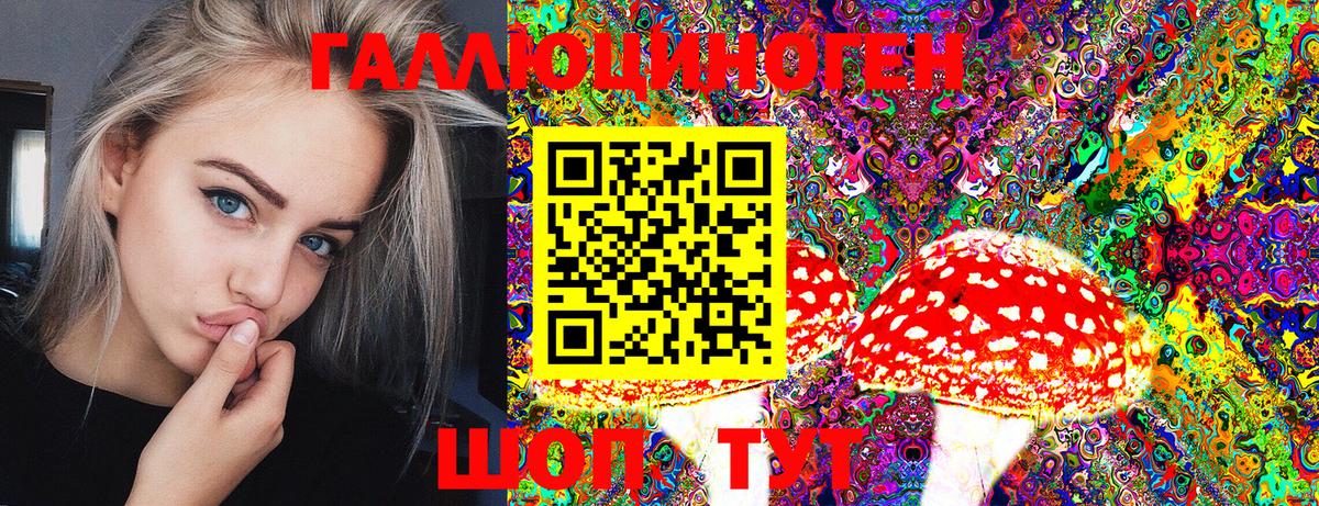 Красноярск  Псилоцибиновые грибы мухоморы  Вход с VPN 